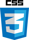 css3 logo